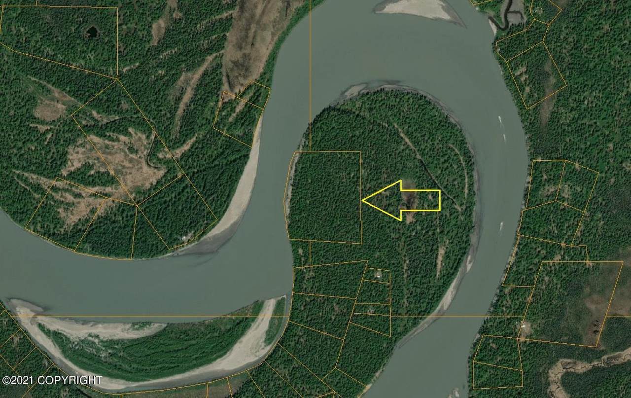 AS #90-317 Yentna River (No Road) - Photo 1