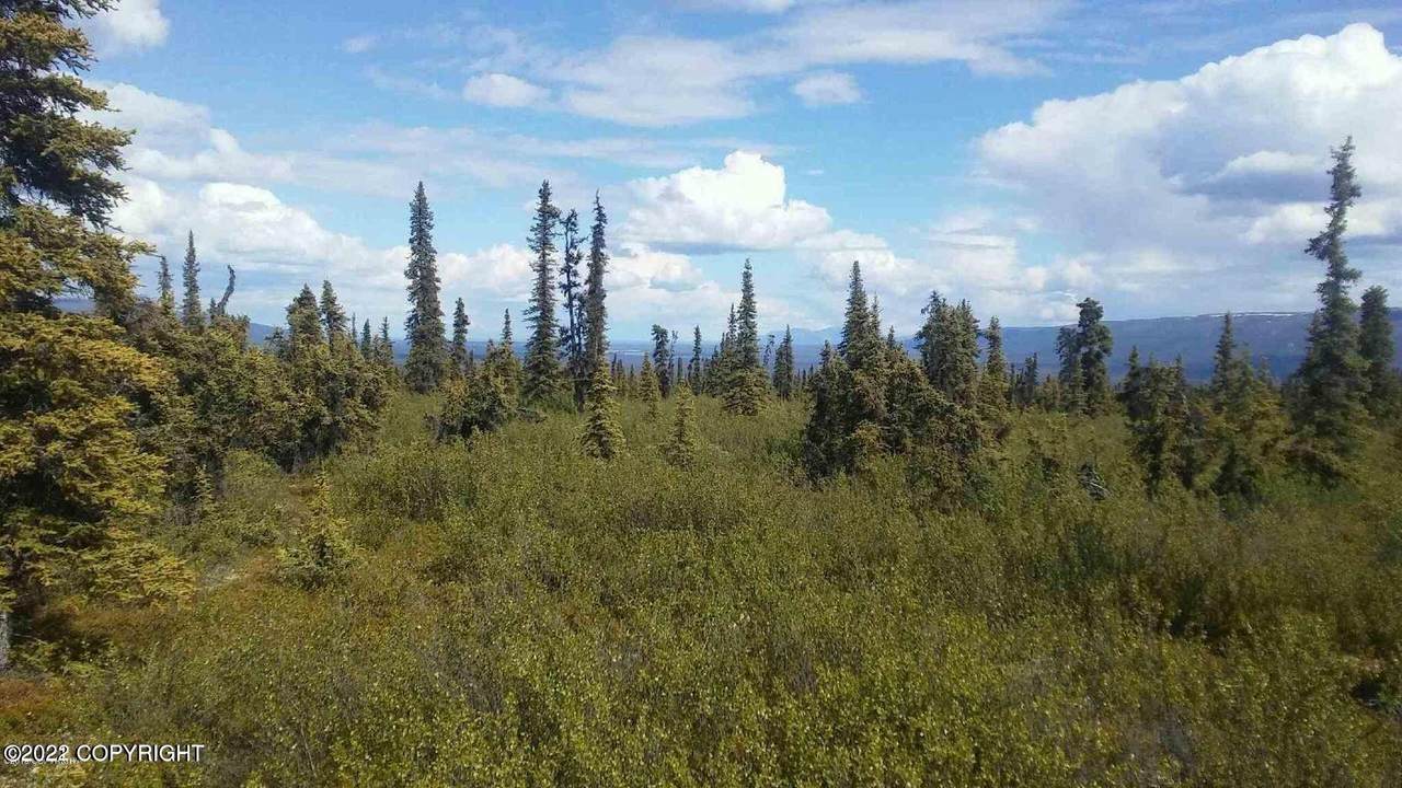 Tr 14 Timber Wolf Road - Photo 1