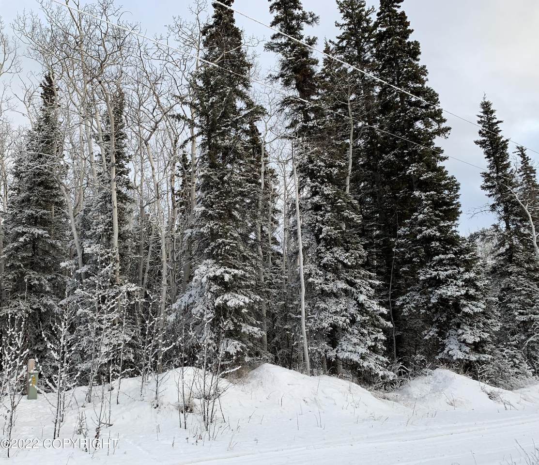 L20 B4 Willow Lake - Photo 1