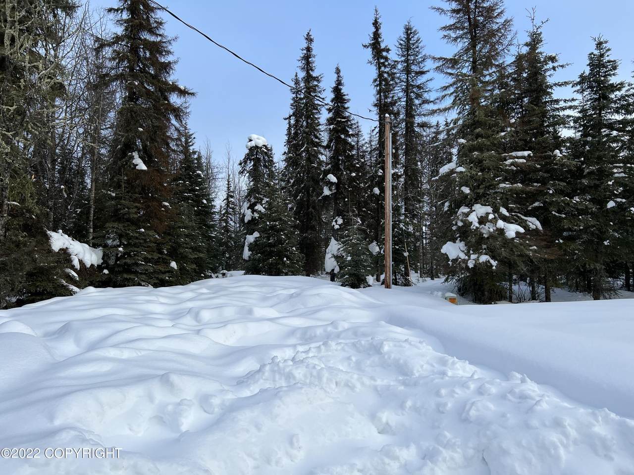 1012 Steelhead Court - Photo 1