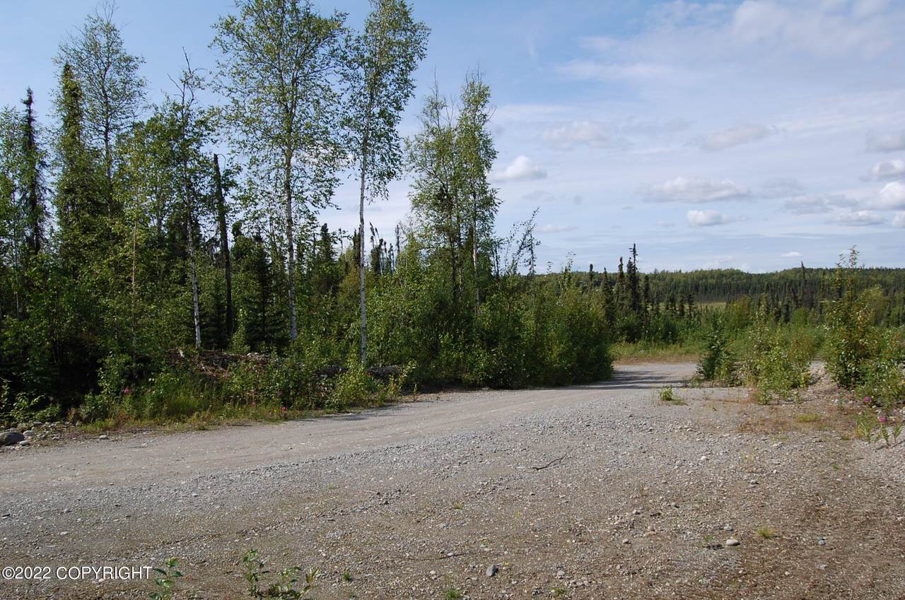 11809 Parks Highway - Photo 1