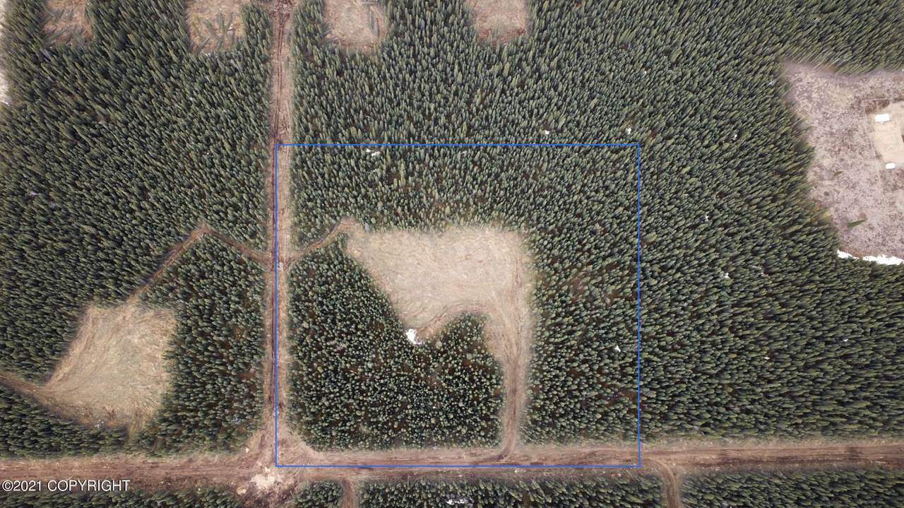 Lot 5 Boreal Forest Subdivision - Photo 1