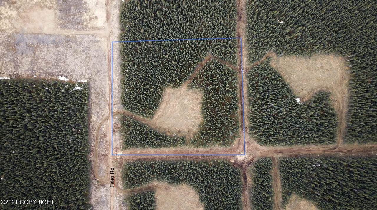 Lot 6 Boreal Forest Subdivision - Photo 1