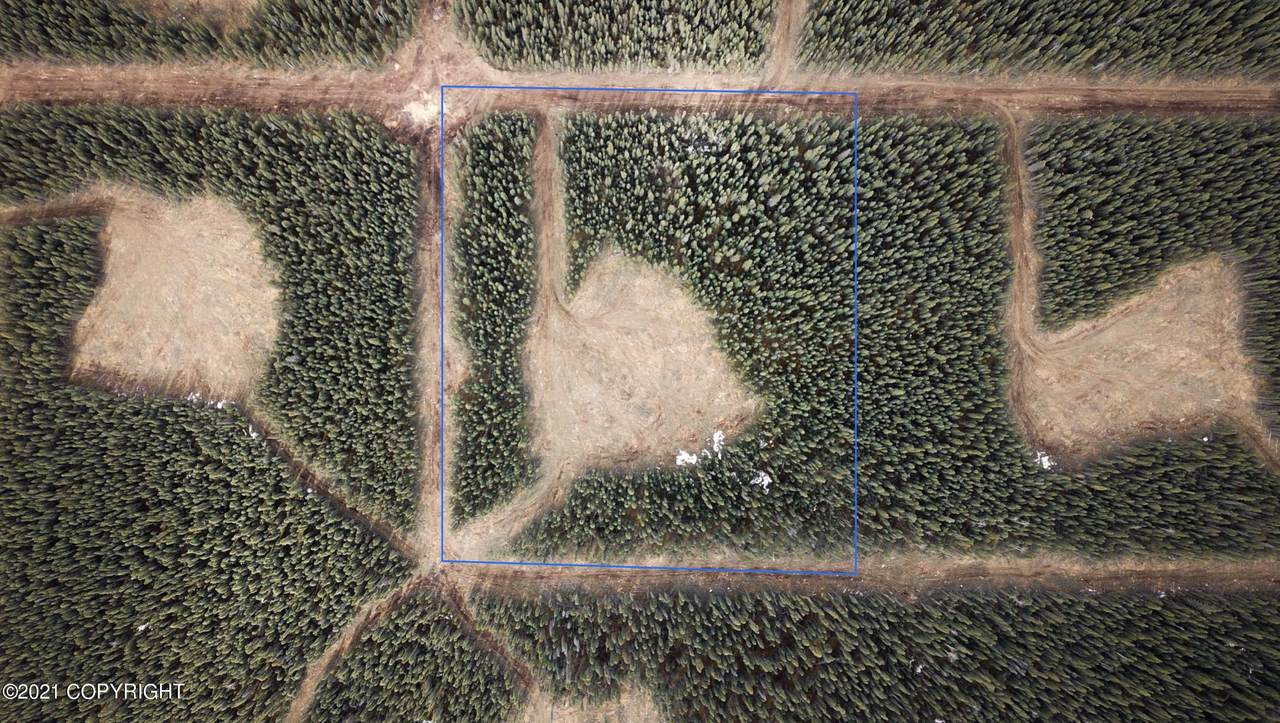 Lot 8 Boreal Forest Subdivision - Photo 1