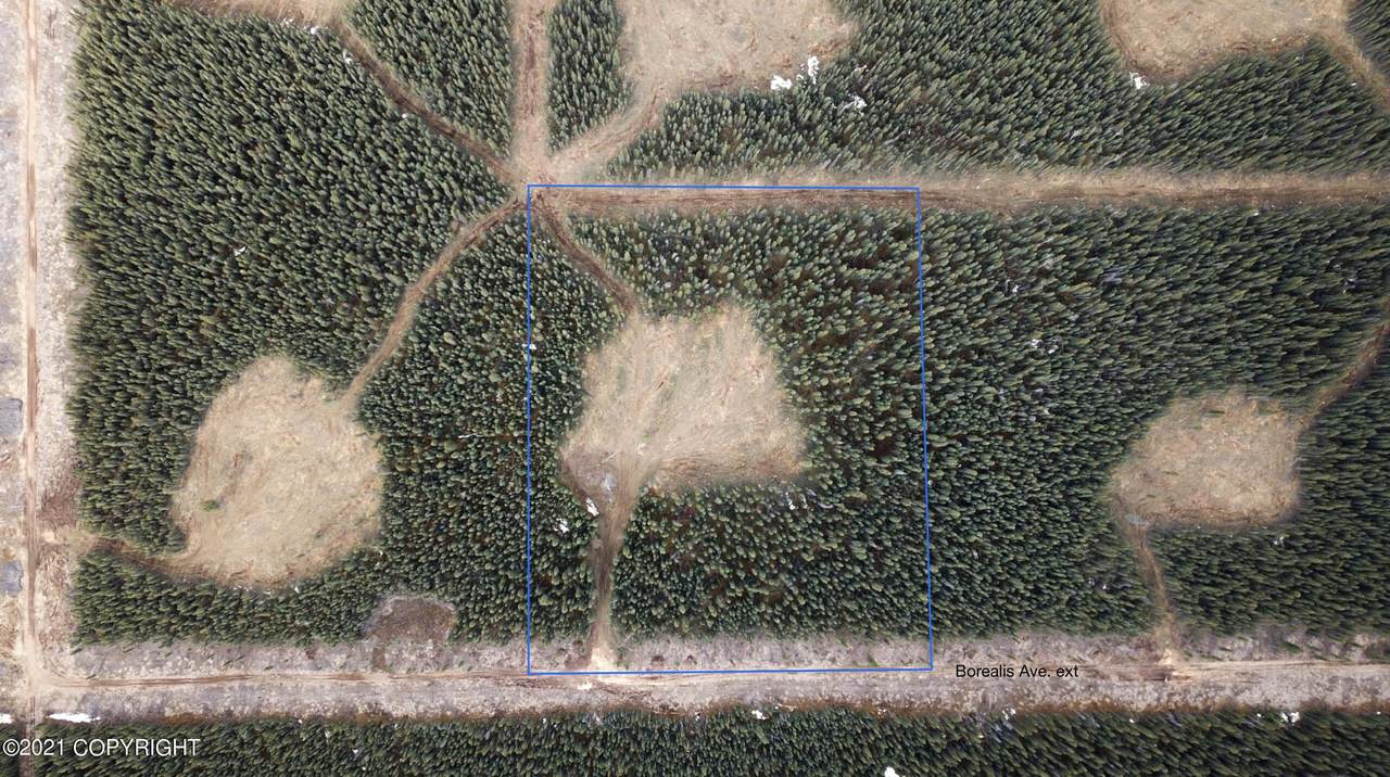 Lot 13 Boreal Forest Subdivision - Photo 1