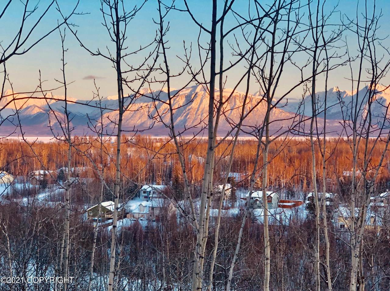 7000 Moose Ridge Circle - Photo 1