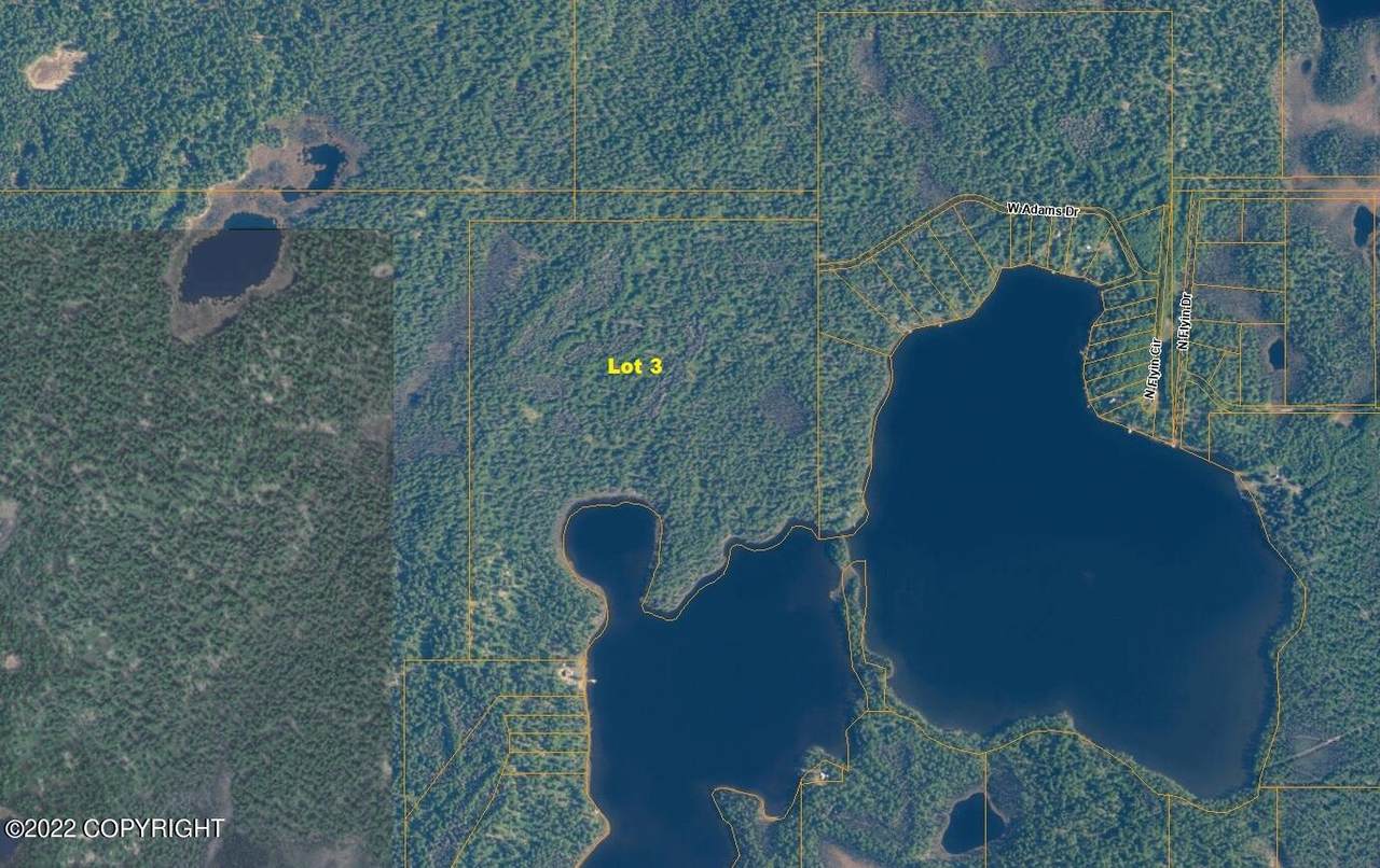 Lt 3 Delyndia Lake (No Road) - Photo 1