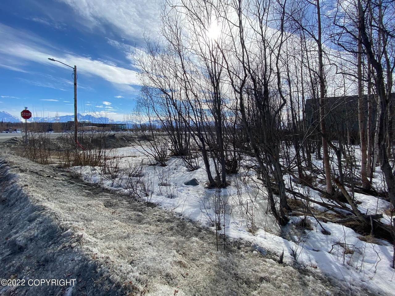 975 Check Street - Photo 1