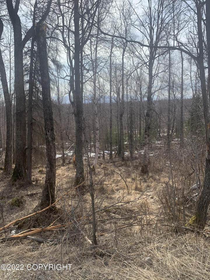 800 Adson Road - Photo 1