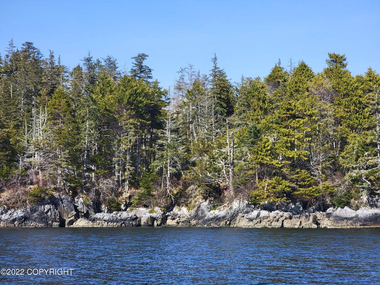 NHN: C-2RB Long Island - Photo 1