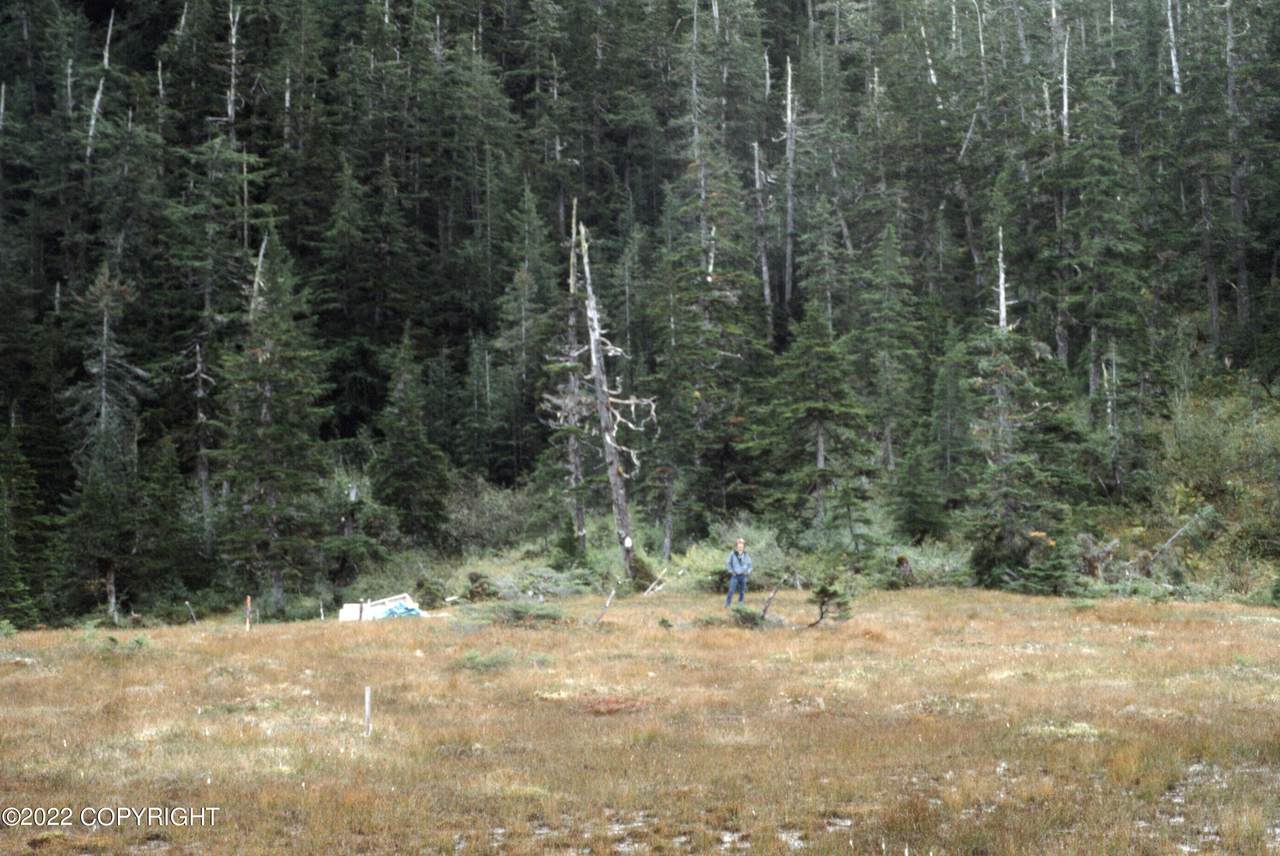 L10 B4 Copper Claim Trail - Photo 1