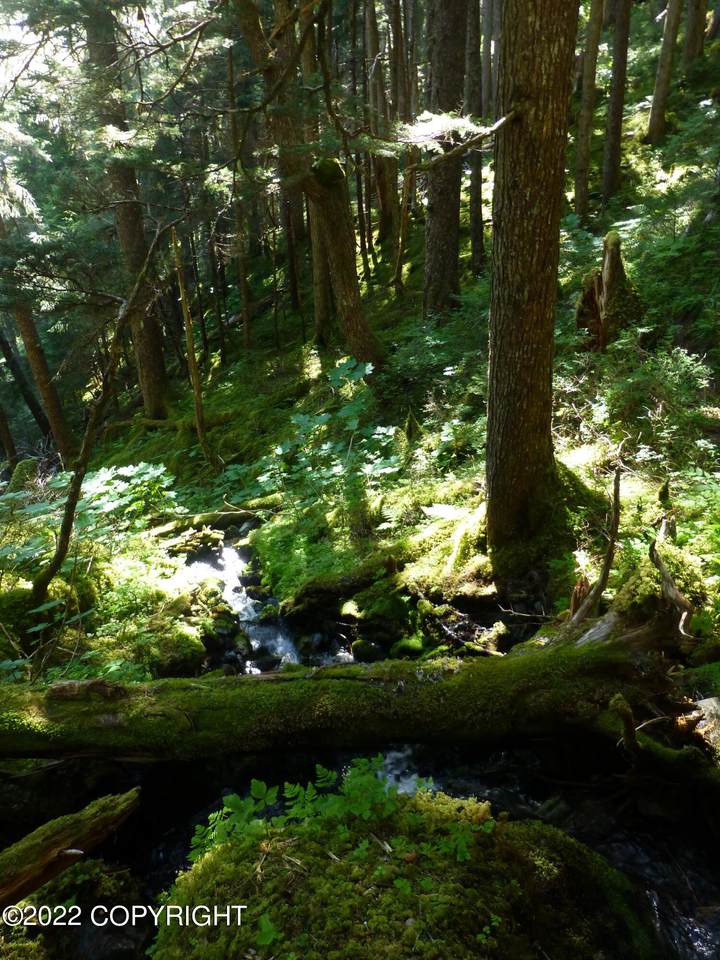 0880004 Alaska State Land Survey - Photo 1