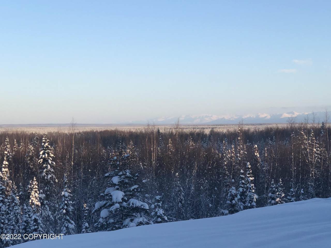 29274 Bear Road - Photo 1