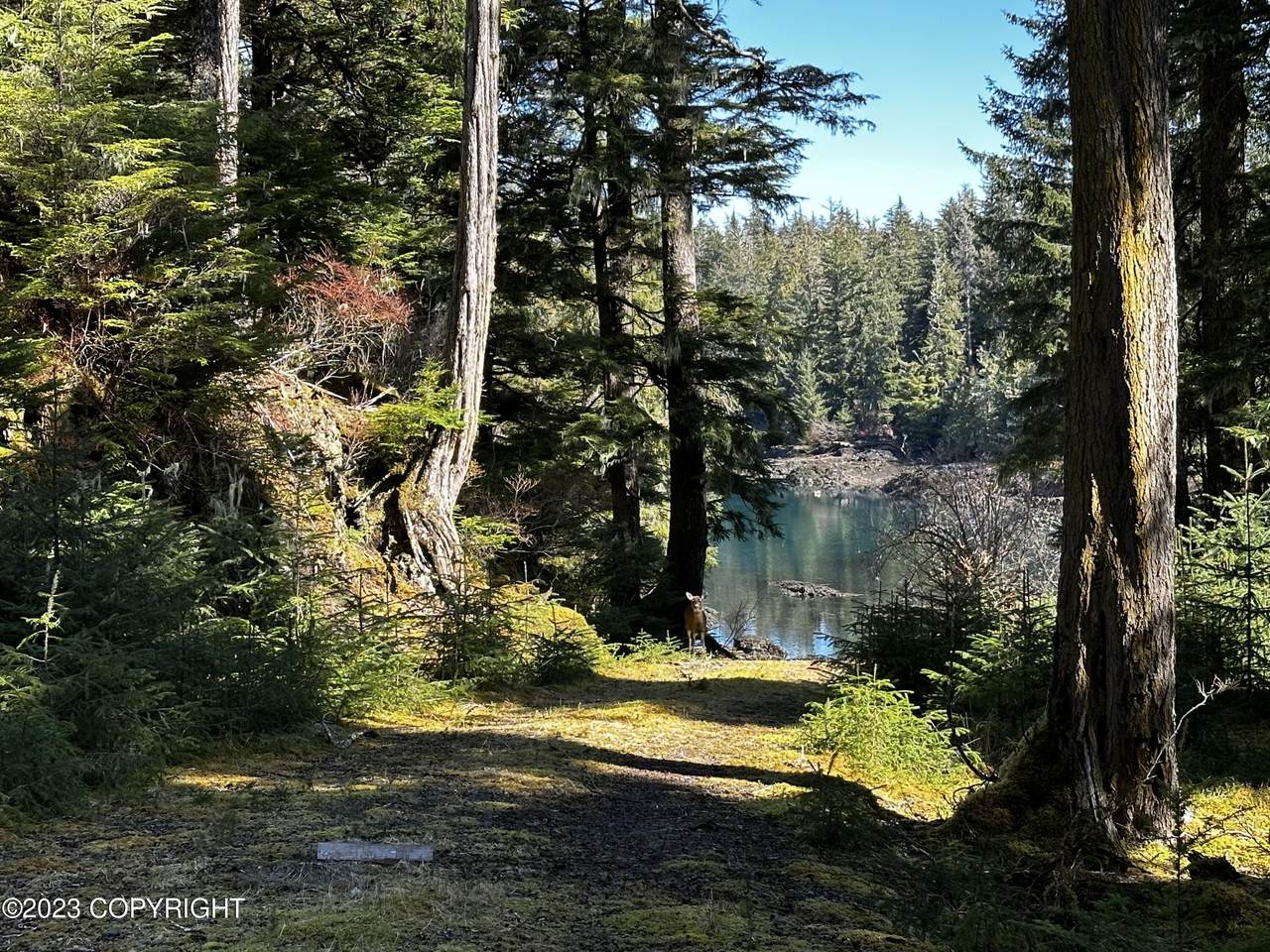 Lot 40 Point Baker, Point Baker, AK 99927 (MLS 234975) RMG Real Estate Network Keller