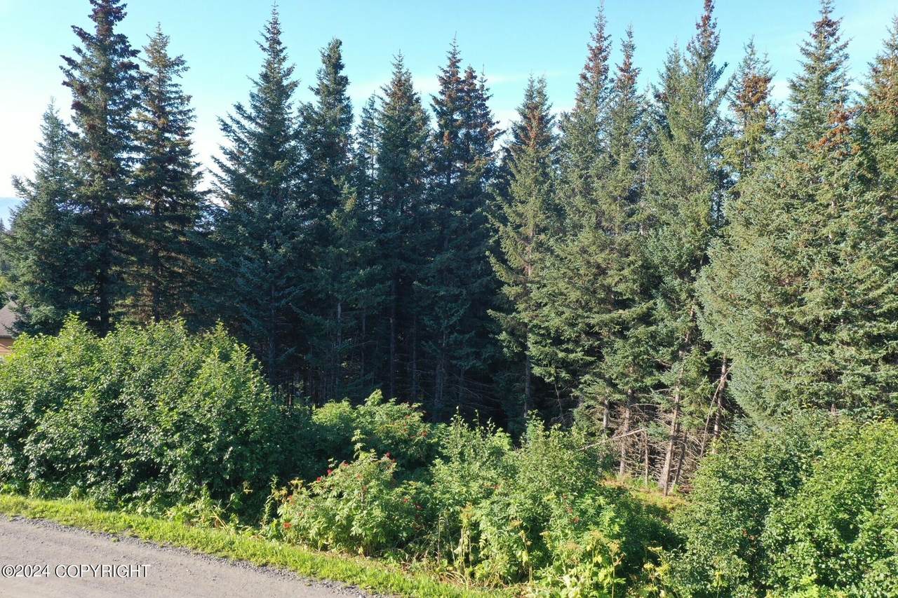 https://bt-photos.global.ssl.fastly.net/alaska/1280_boomver_1_24-12030-2.jpg