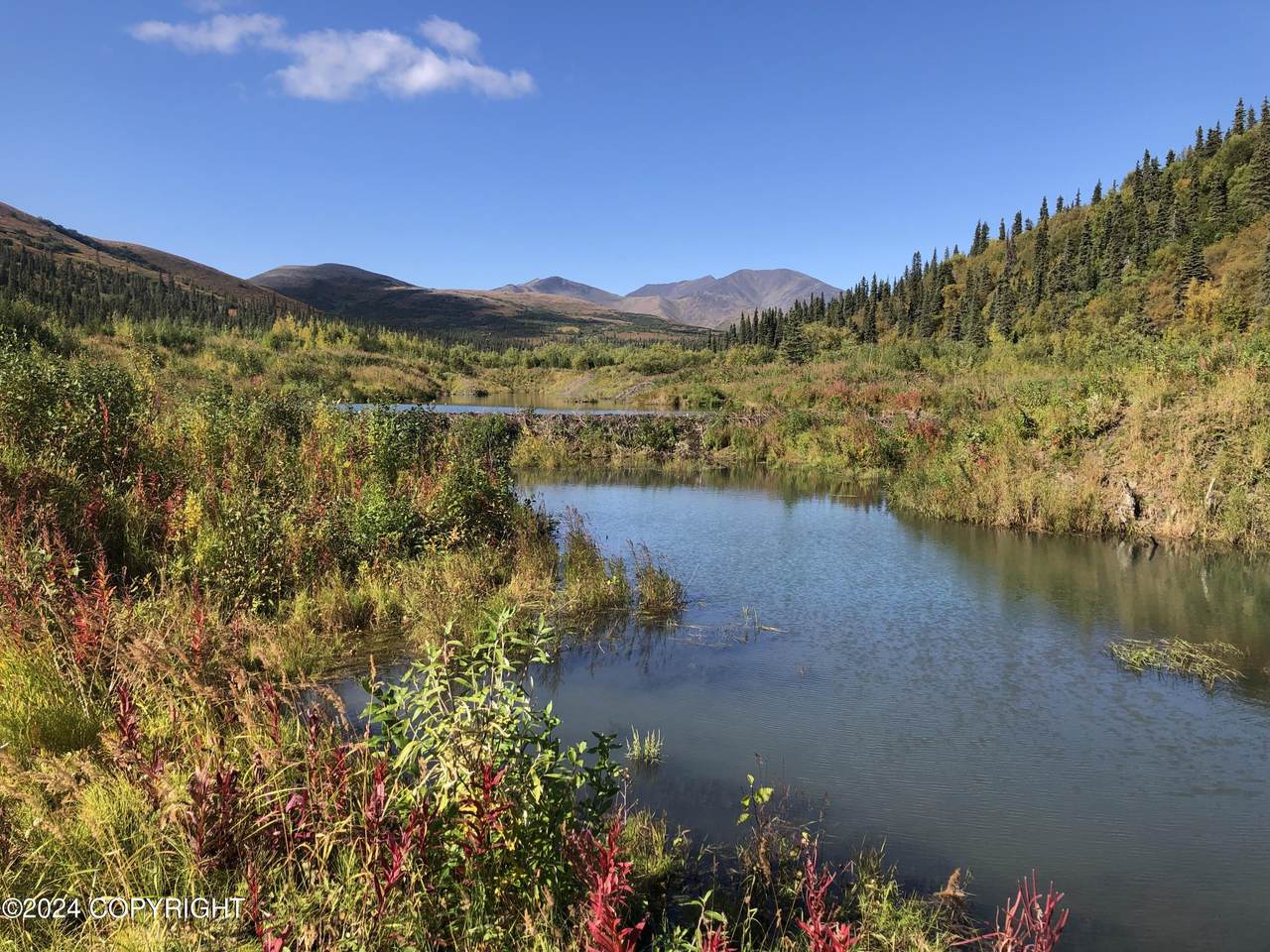 000 No Road - Photo 1