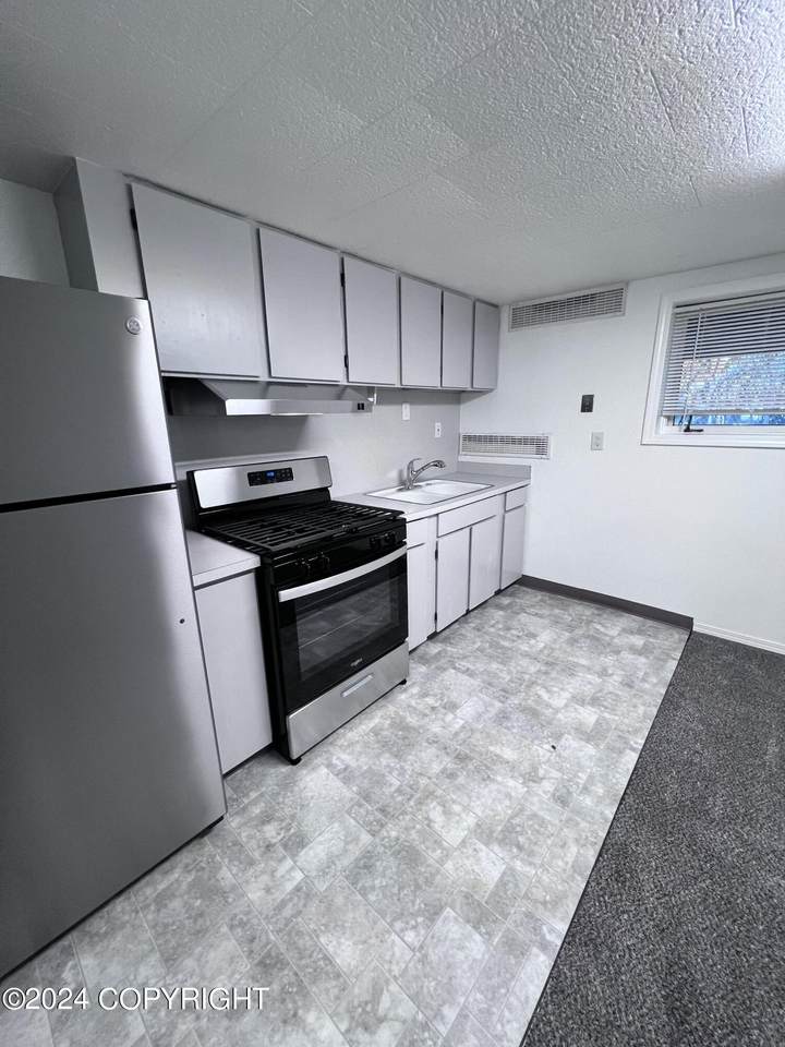 2701 Denali Street - Photo 1