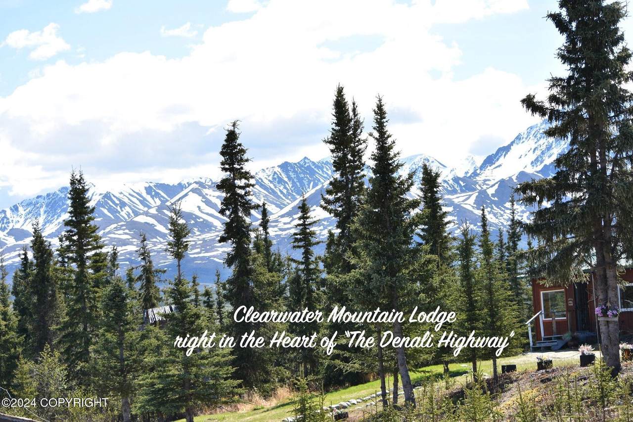 Mile 82.2 Denali Highway - Photo 1