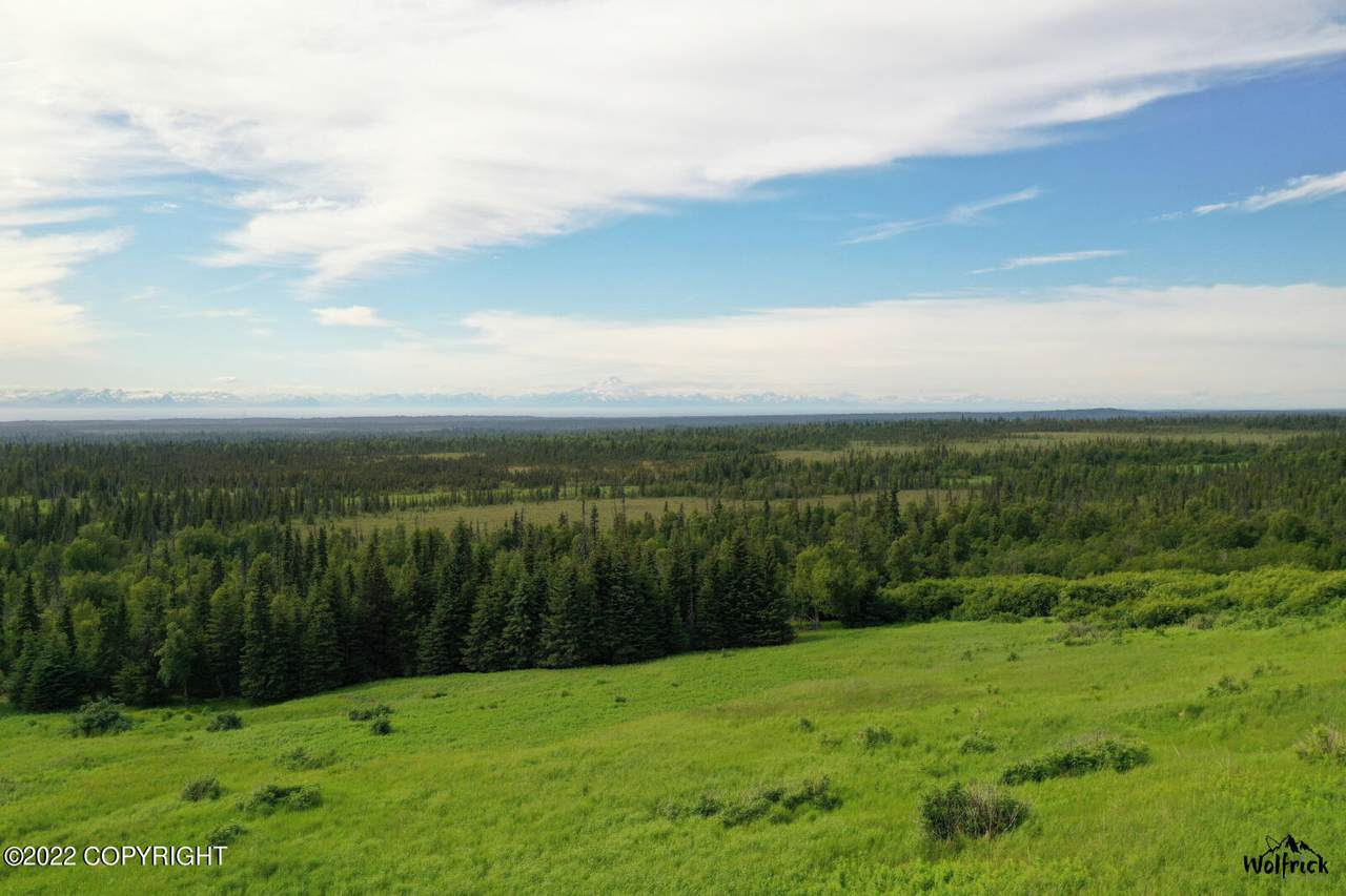 E5 Alaskan Wildwood Ranch(R) - Photo 1