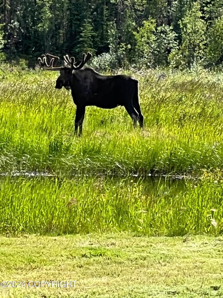 Mile 117 Richardson Hwy, Glennallen, AK 99588 (MLS 245508) RMG Real Estate Network Keller