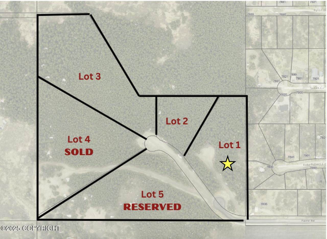 L1 Paine Circle - Photo 1