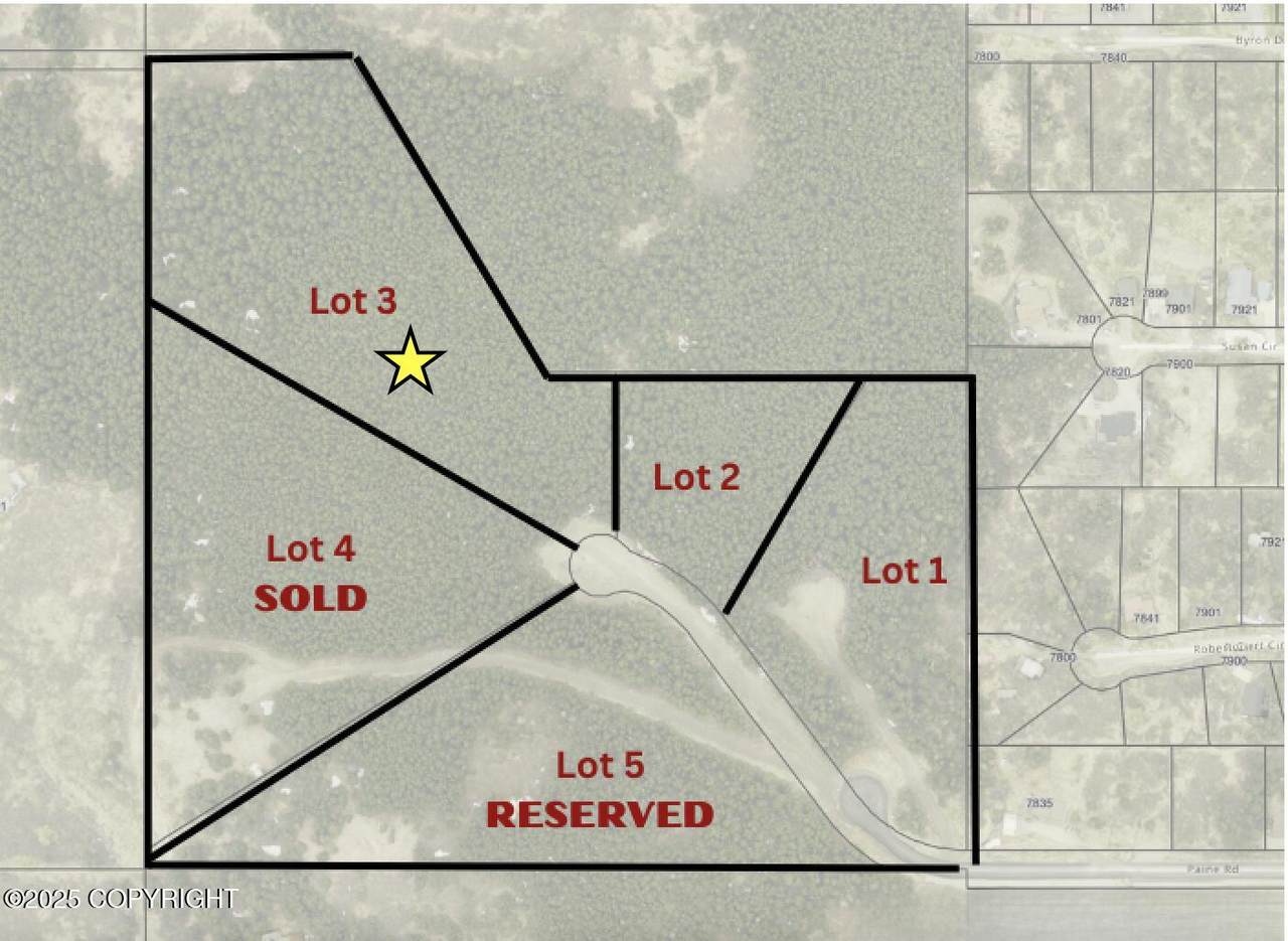 L3 Paine Circle - Photo 1