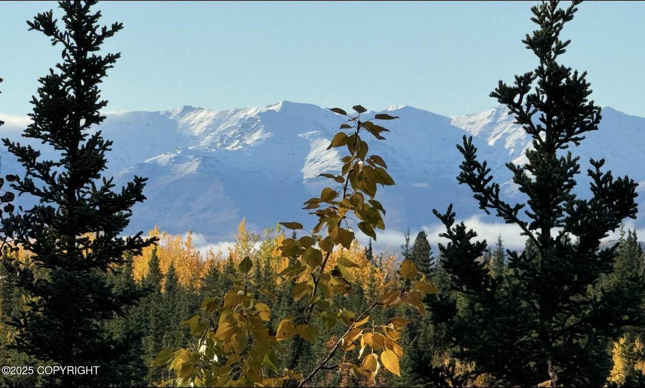 https://bt-photos.global.ssl.fastly.net/alaska/1280_boomver_1_25-11022-2.jpg