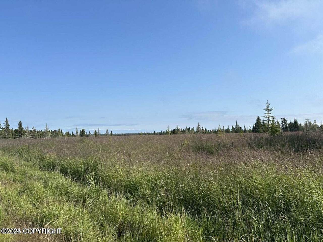 35826 Agriculture Street - Photo 1