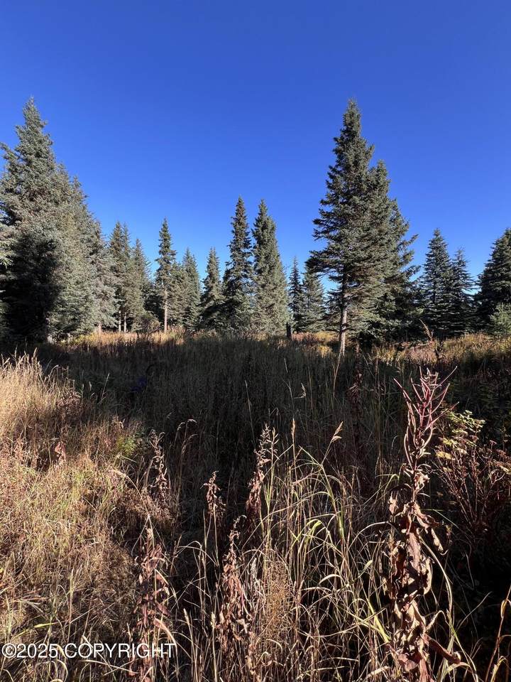 L6 Shegota Loop - Photo 1