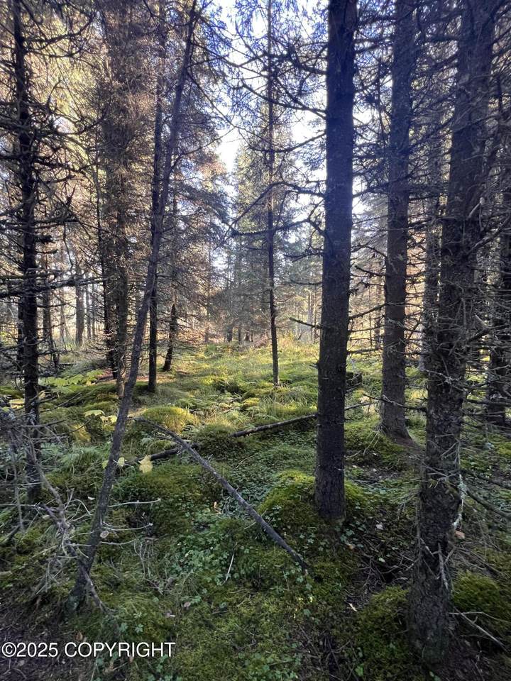 L7 Shegota Loop - Photo 1