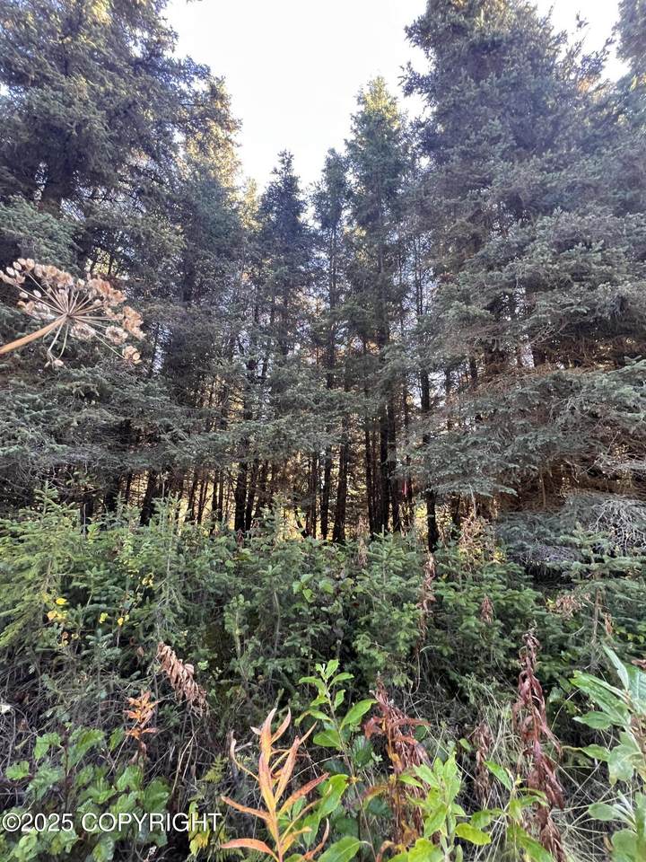 L8 Shegota Loop - Photo 1