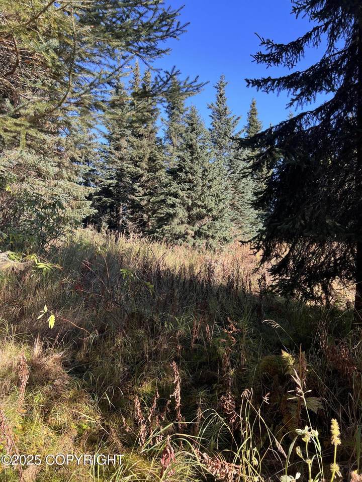 L9 Shegota Loop - Photo 1