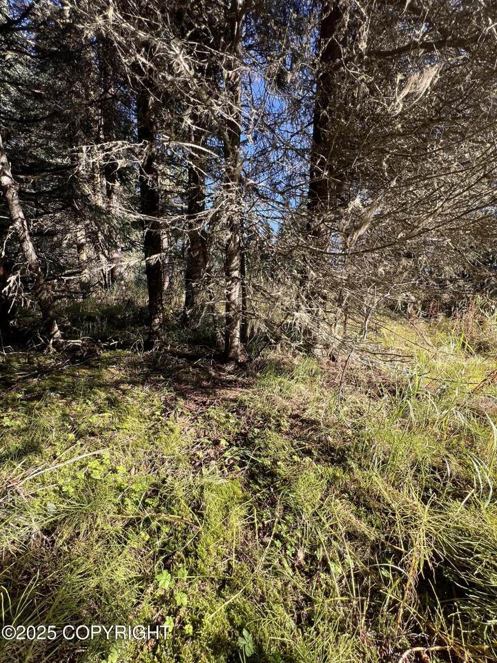 L10 Shegota Loop - Photo 1