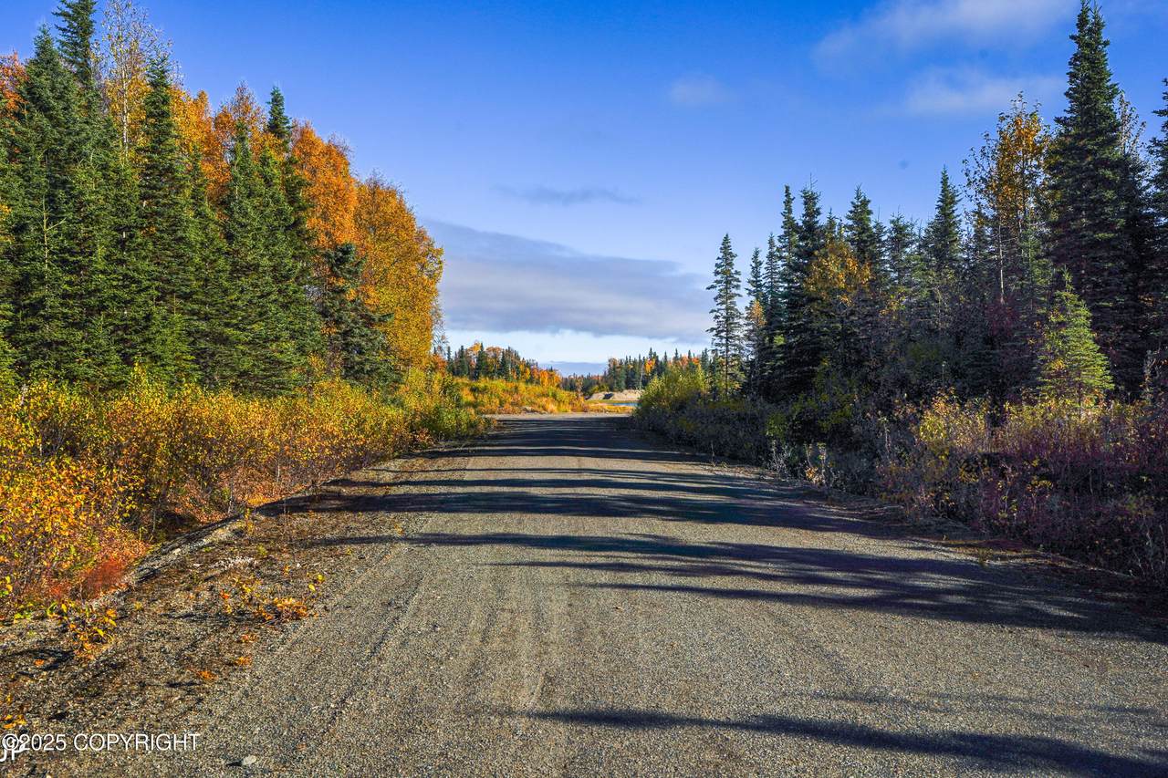 52412 Treasure Chest Avenue - Photo 1