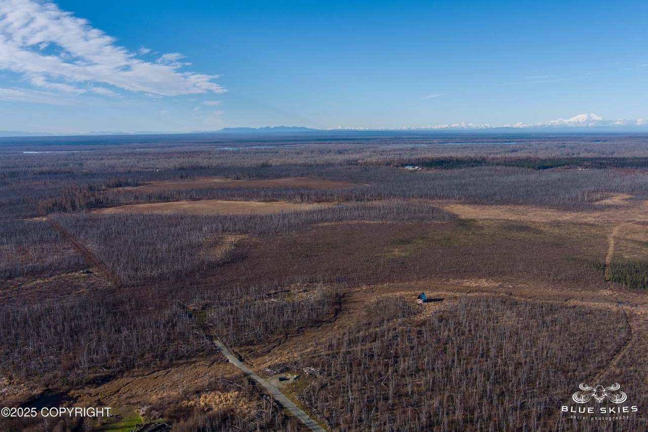 41357 Krantz Road - Photo 1