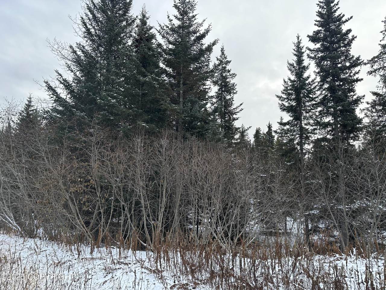 000 Old Sterling Highway - Photo 1