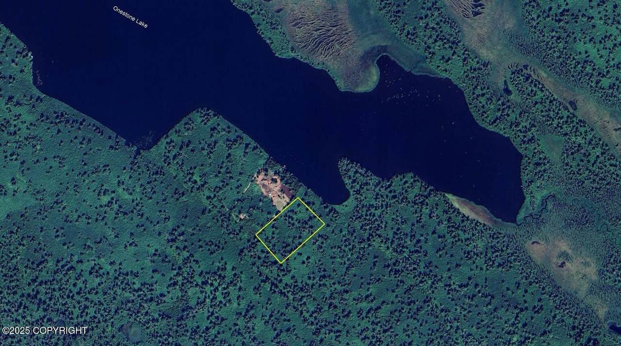 L6 B11 Onestone Lake - Photo 1