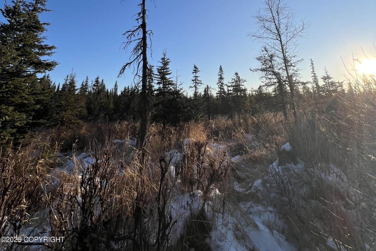 https://bt-photos.global.ssl.fastly.net/alaska/1280_boomver_1_25-15030-2.jpg