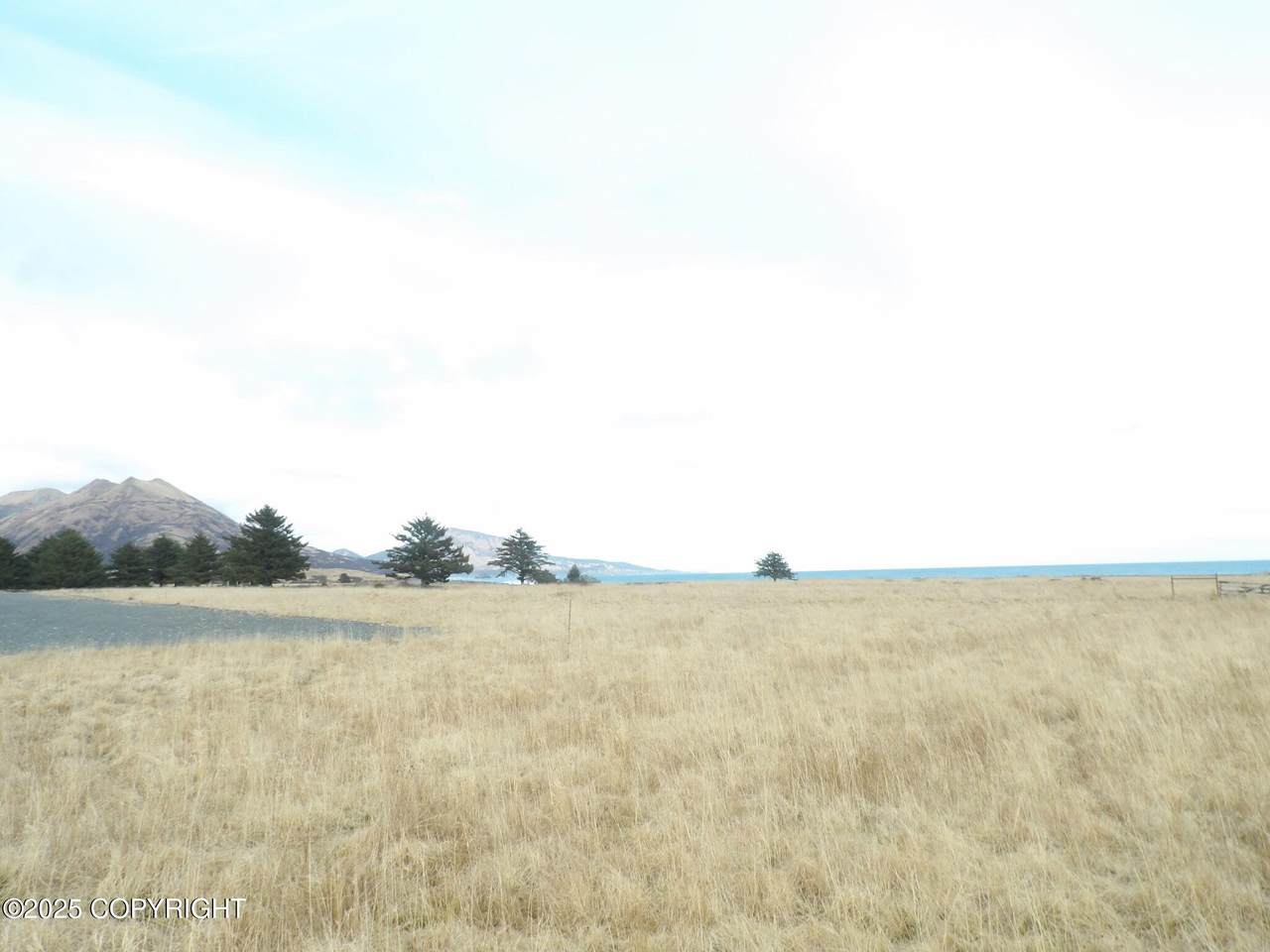 000 Narrow Cape Road - Photo 1