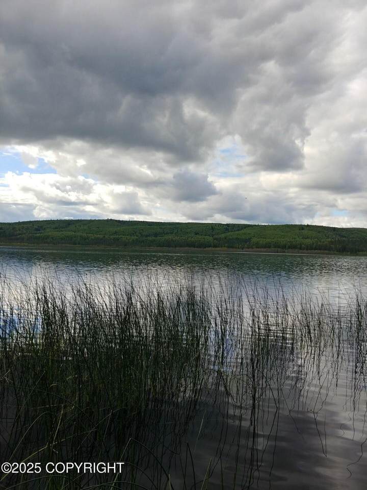 000 Lydia Lane - Photo 1