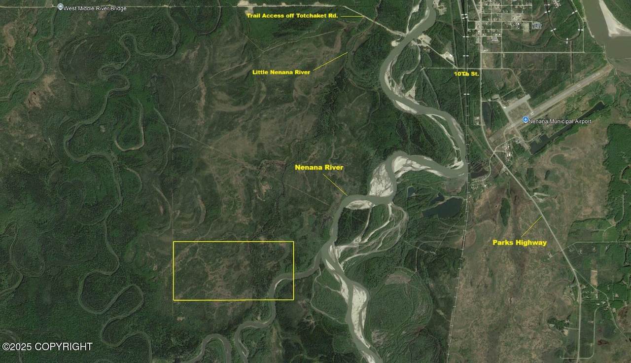 Multi Lts Nenana River (No Road) - Photo 1