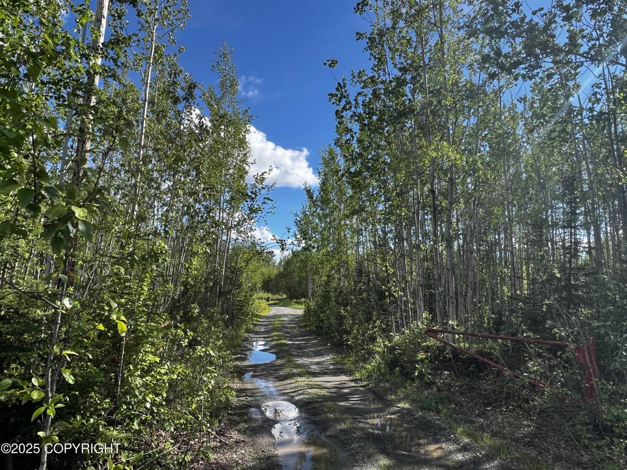 13468 Cherrywood Drive - Photo 1