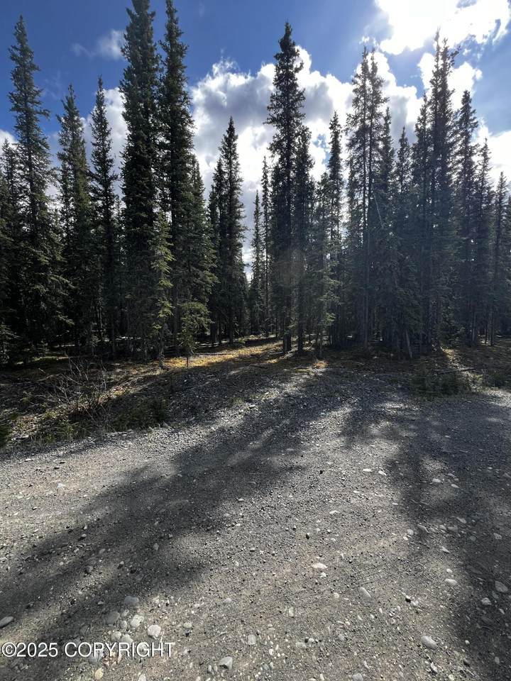 1H Alaska Highway - Photo 1