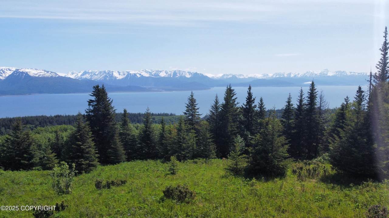 L4 East End Road - Photo 1