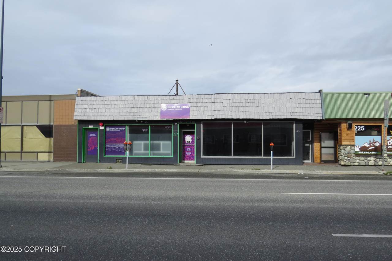 221 5th Avenue - Photo 1