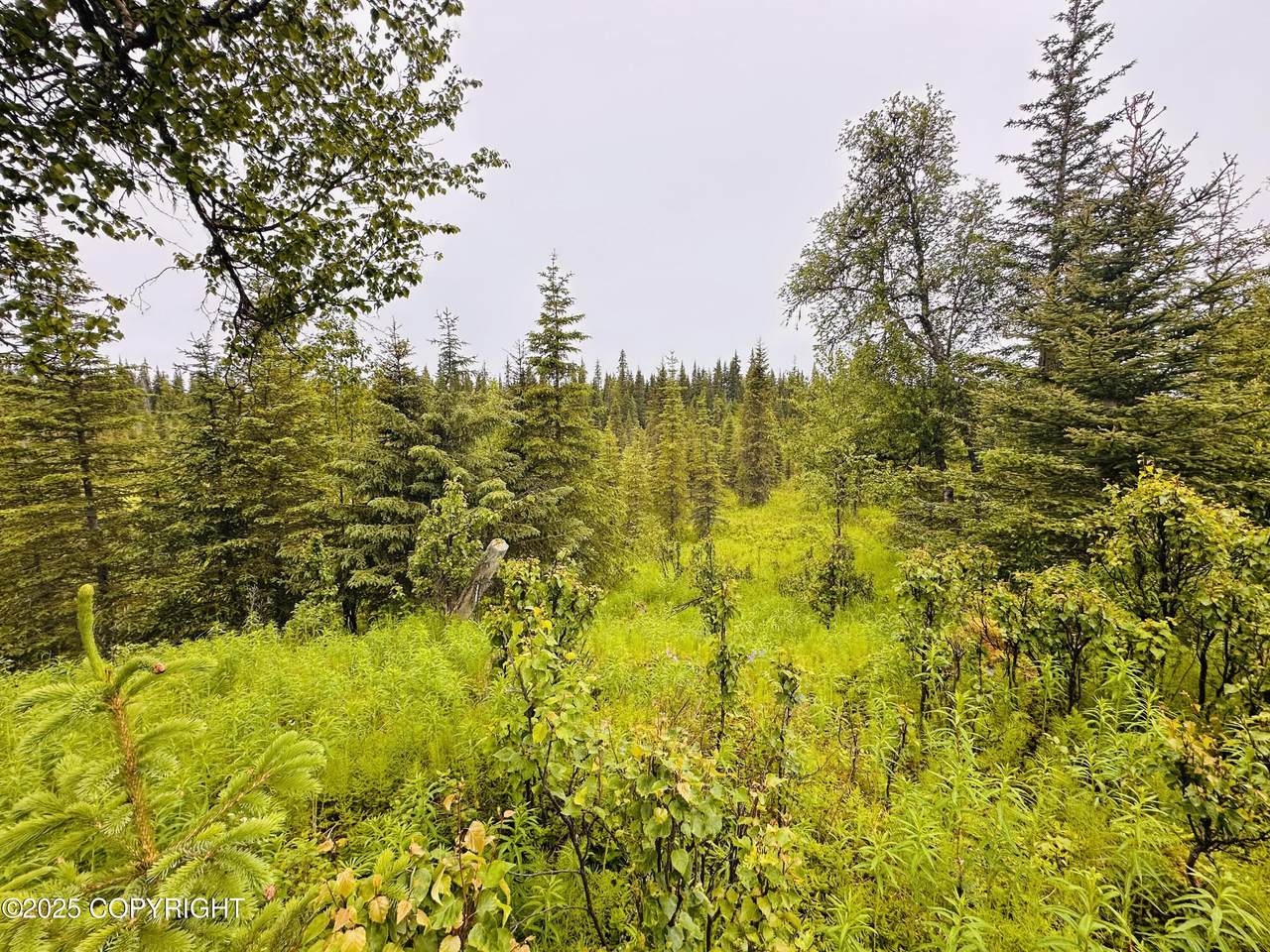https://bt-photos.global.ssl.fastly.net/alaska/orig_boomver_1_25-8006-2.jpg