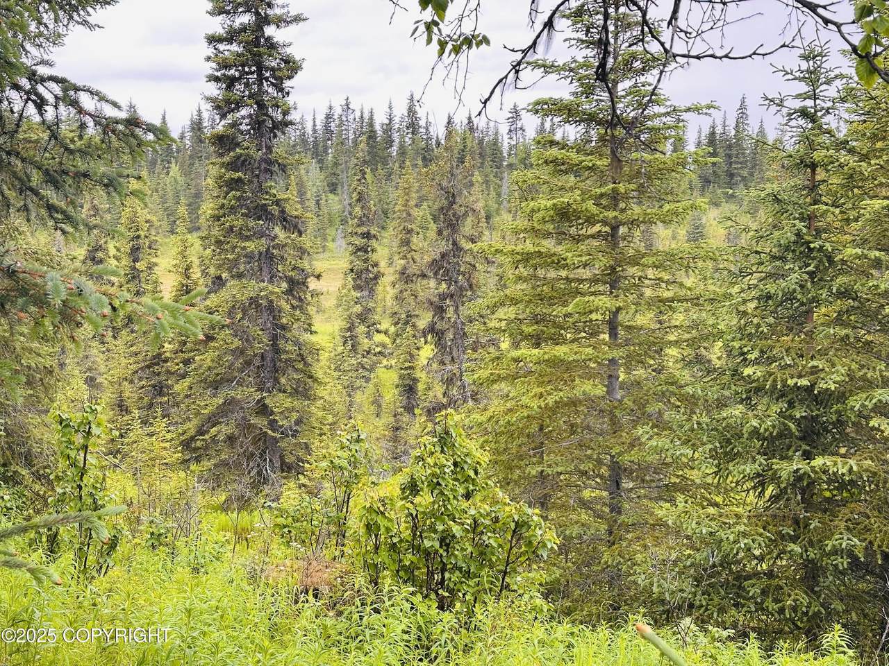 https://bt-photos.global.ssl.fastly.net/alaska/orig_boomver_1_25-8006-2.jpg