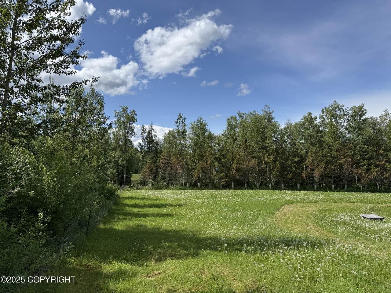 15800 Shangrila Drive - Photo 1
