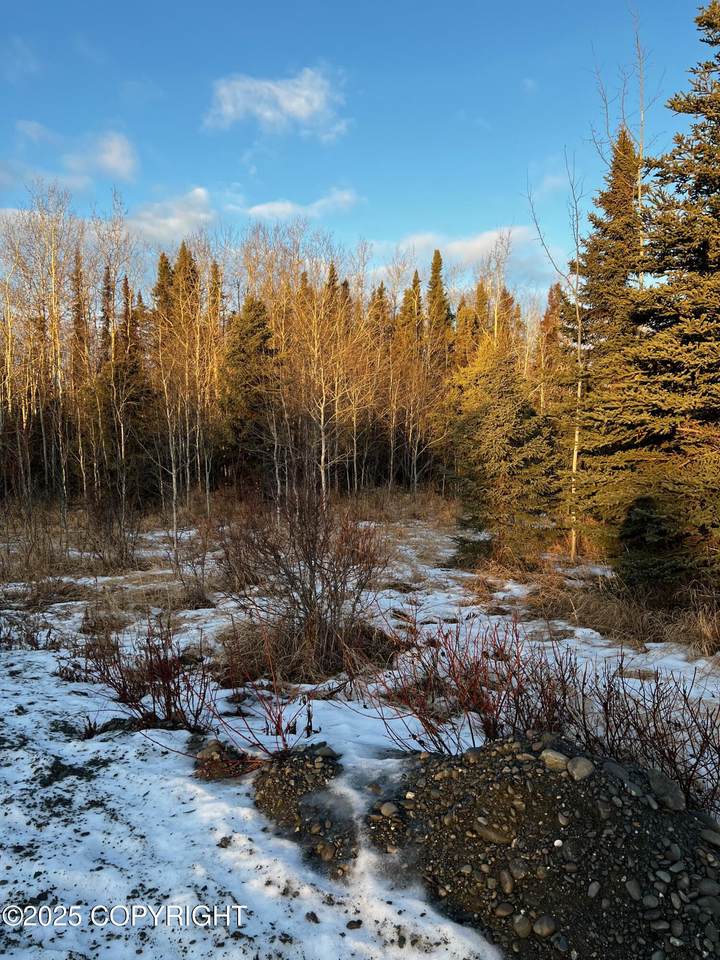 https://bt-photos.global.ssl.fastly.net/alaska/1280_boomver_1_25-817-2.jpg