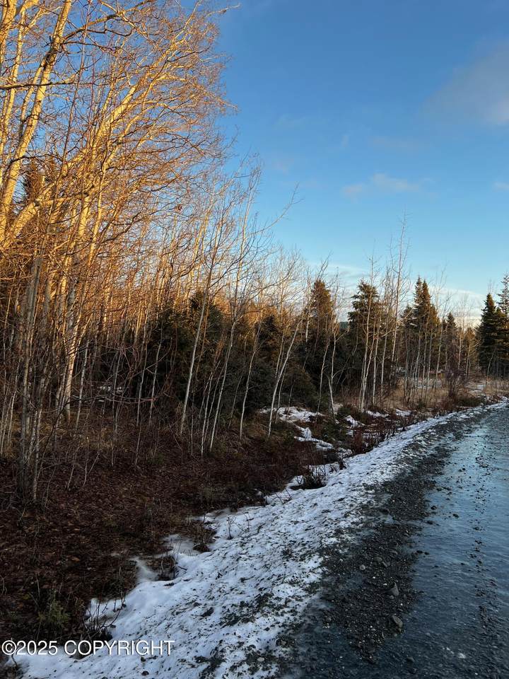 https://bt-photos.global.ssl.fastly.net/alaska/1280_boomver_1_25-817-2.jpg